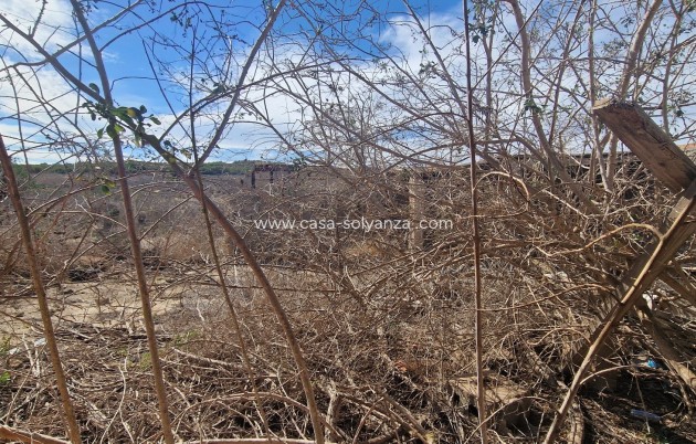 Herverkoop - Finca / Country Property - San Miguel de Salinas