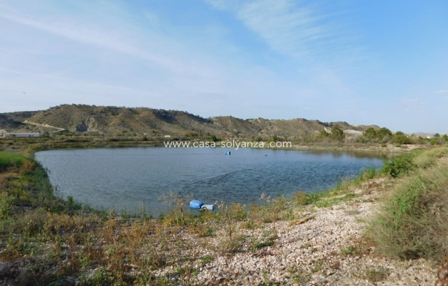 Wiederverkauf - Land - Torremendo