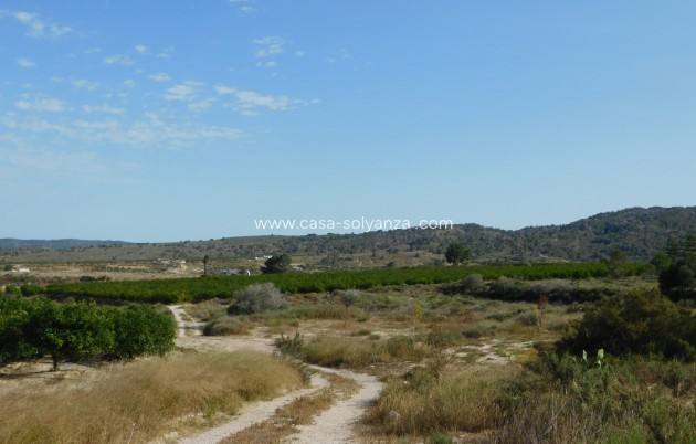 Wiederverkauf - Land - Torremendo