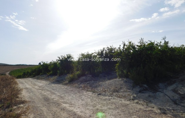 Wiederverkauf - Land - Torremendo