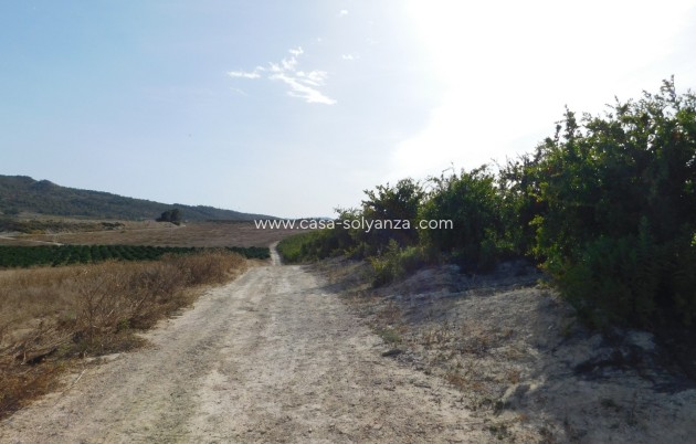 Wiederverkauf - Land - Torremendo