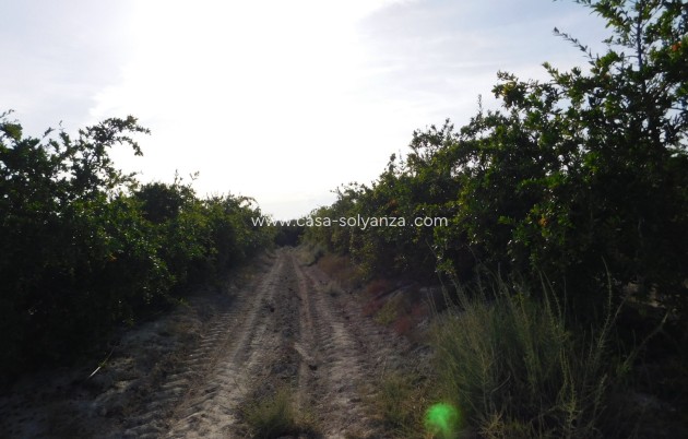 Wiederverkauf - Land - Torremendo