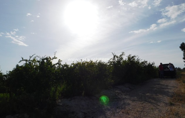 Wiederverkauf - Land - Torremendo