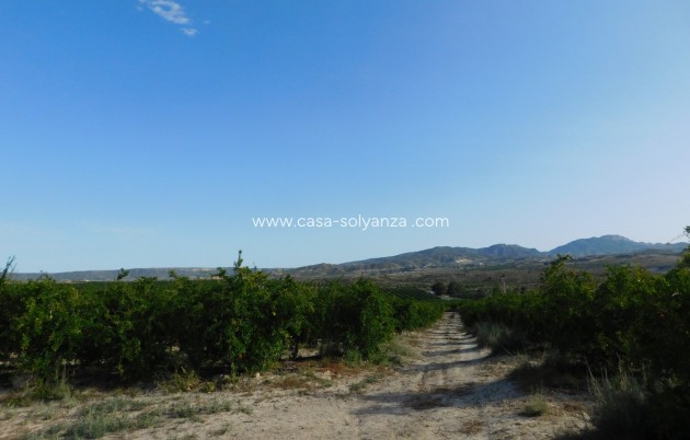 Wiederverkauf - Land - Torremendo