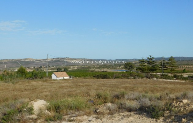 Wiederverkauf - Land - Torremendo