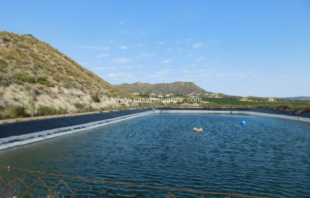 Wiederverkauf - Land - Torremendo