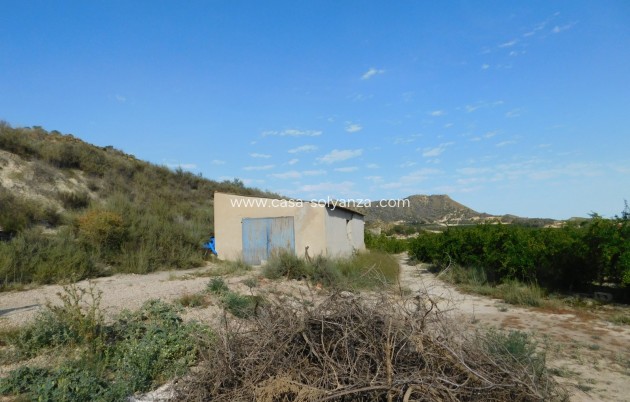 Wiederverkauf - Land - Torremendo