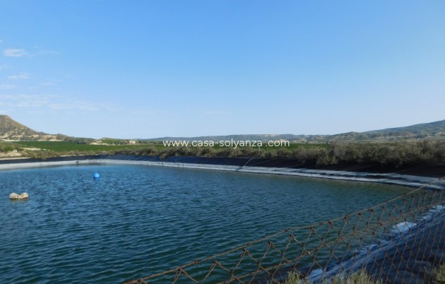 Wiederverkauf - Land - Torremendo