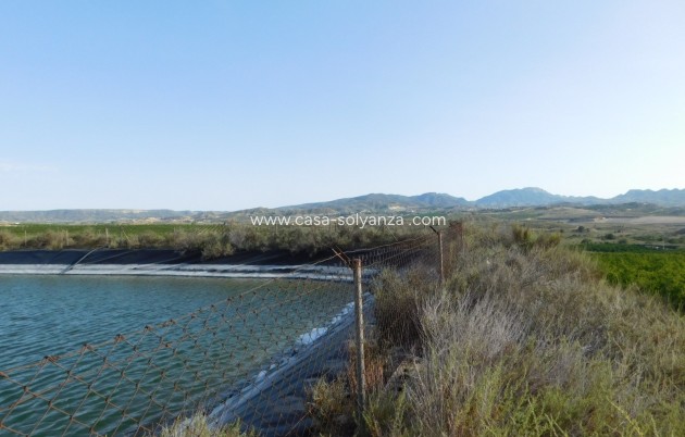 Wiederverkauf - Land - Torremendo