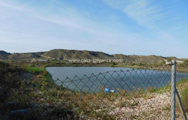 Wiederverkauf - Land - Torremendo