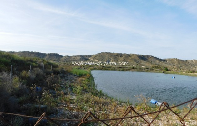 Wiederverkauf - Land - Torremendo