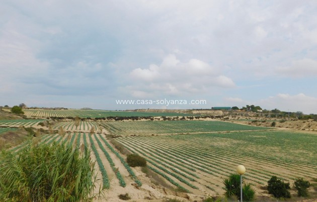 Revente - Villa - San Miguel de Salinas - San Miguel Salinas