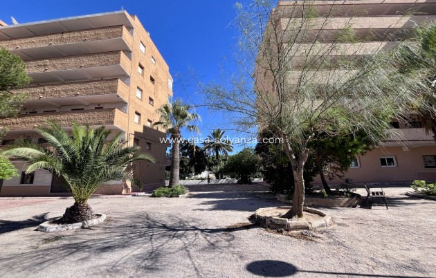 Reventa - Apartamento / piso - La Mata - Costa Blanca