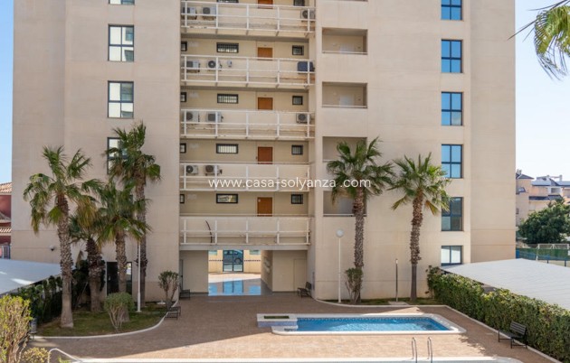 Revente - Appartement - Torrevieja - Costa Blanca