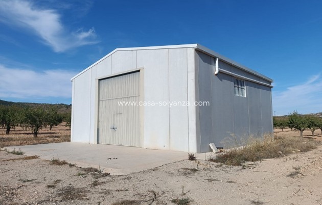 Revente - Land - Yecla - Inland