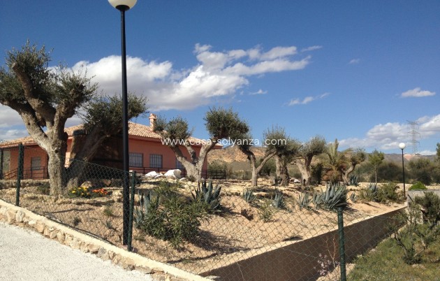 Revente - Villa - Abanilla - Inland