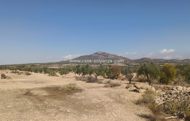 Revente - Land - Salinas - Inland