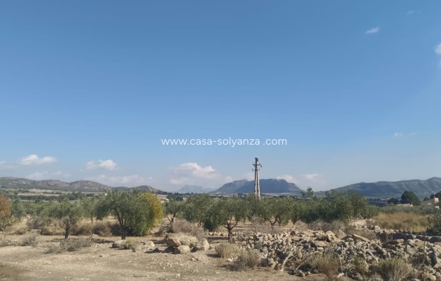 Revente - Land - Salinas - Inland