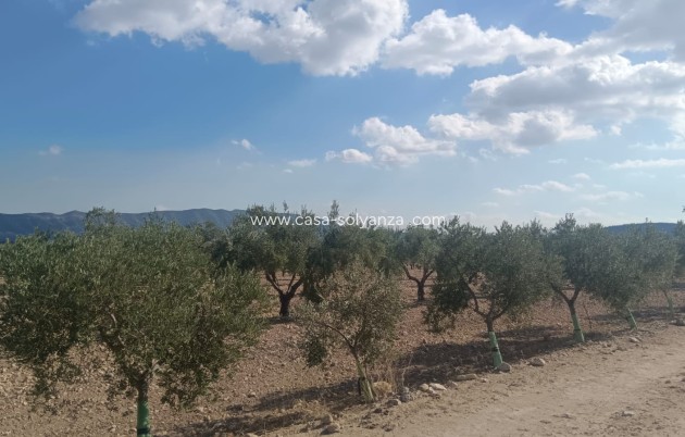 Revente - Land - Salinas - Inland