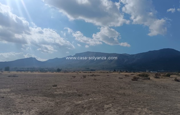 Revente - Land - Salinas - Inland