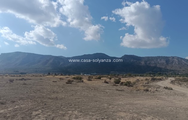 Revente - Land - Salinas - Inland