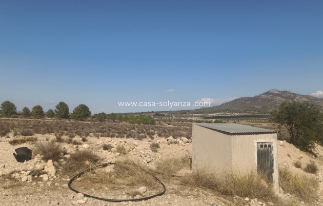 Revente - Land - Salinas - Inland