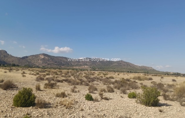 Revente - Land - Salinas - Inland