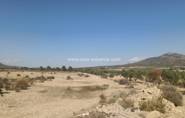 Revente - Land - Salinas - Inland