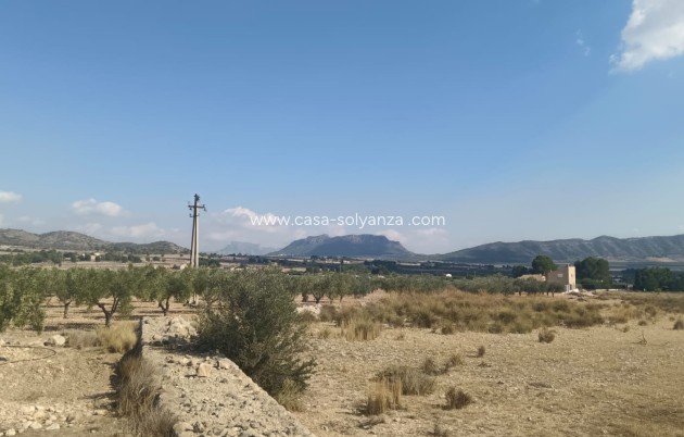 Revente - Land - Salinas - Inland