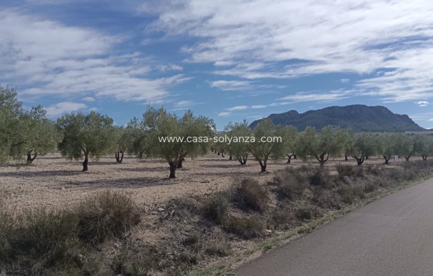 Revente - Land - Salinas - Inland