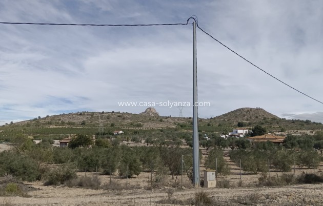 Revente - Land - Salinas - Inland