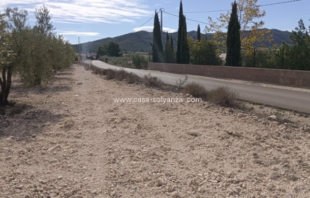 Revente - Land - Salinas - Inland