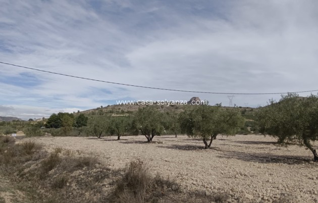 Revente - Land - Salinas - Inland