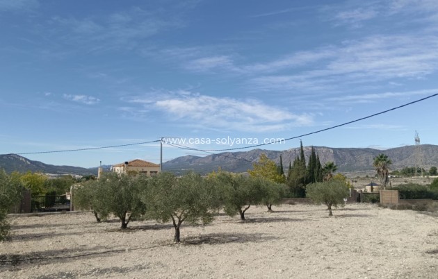 Revente - Land - Salinas - Inland