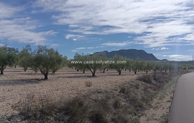 Revente - Land - Salinas - Inland