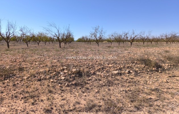 Revente - Land - Pinoso - Inland
