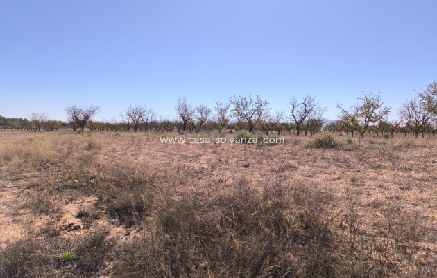 Revente - Land - Pinoso - Inland