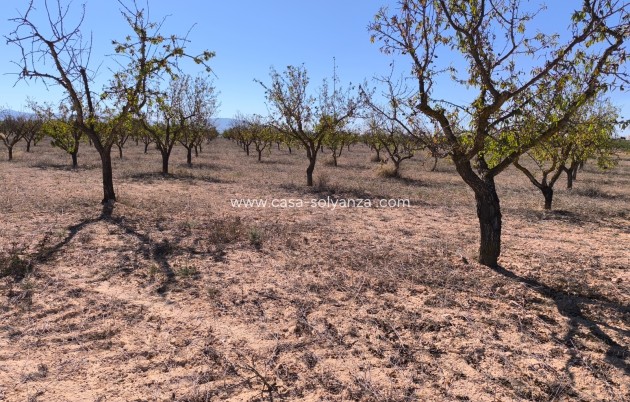 Revente - Land - Pinoso - Inland