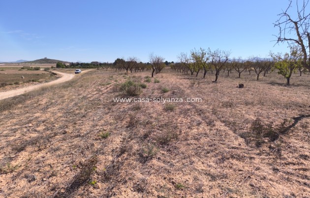 Revente - Land - Pinoso - Inland