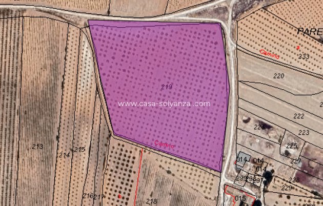 Revente - Land - Pinoso - Inland