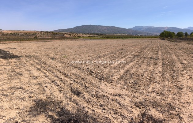 Revente - Land - Pinoso - Inland