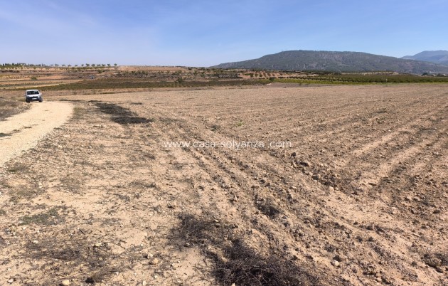 Revente - Land - Pinoso - Inland