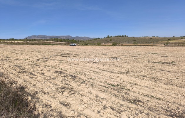 Revente - Land - Pinoso - Inland