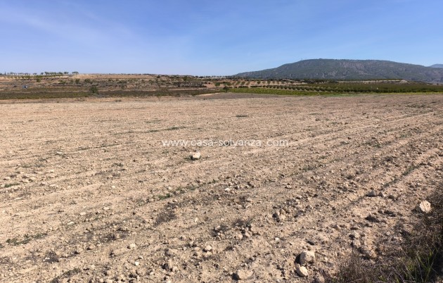 Revente - Land - Pinoso - Inland