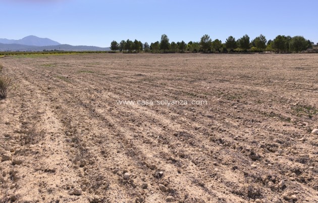 Revente - Land - Pinoso - Inland