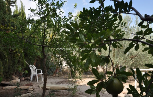 Wiederverkauf - Country Property/Finca - Pinoso - Inland