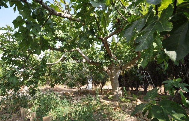 Wiederverkauf - Country Property/Finca - Pinoso - Inland