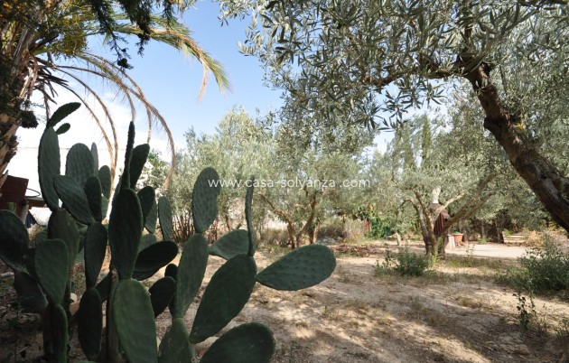 Wiederverkauf - Country Property/Finca - Pinoso - Inland