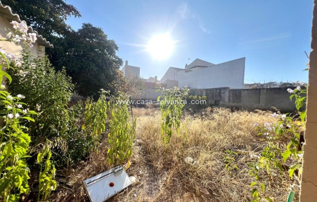 Revente - Maison de ville - Pinoso - Inland