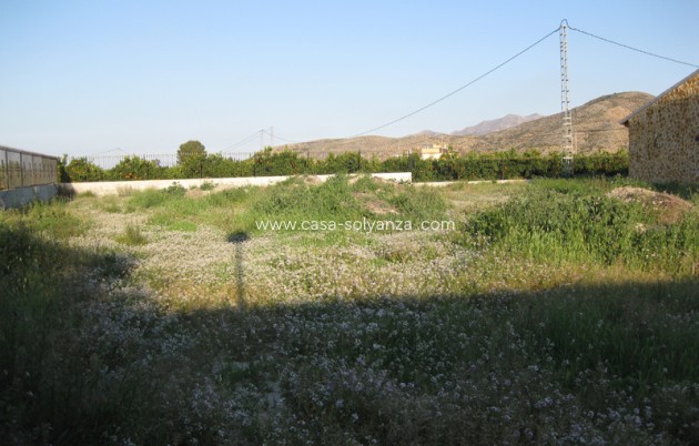 Revente - Country Property/Finca - Benferri - Inland